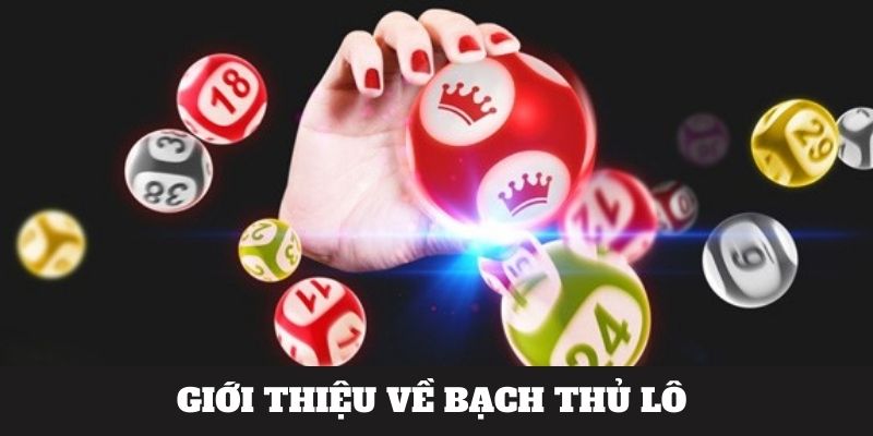 Bạch thủ lô là gì?