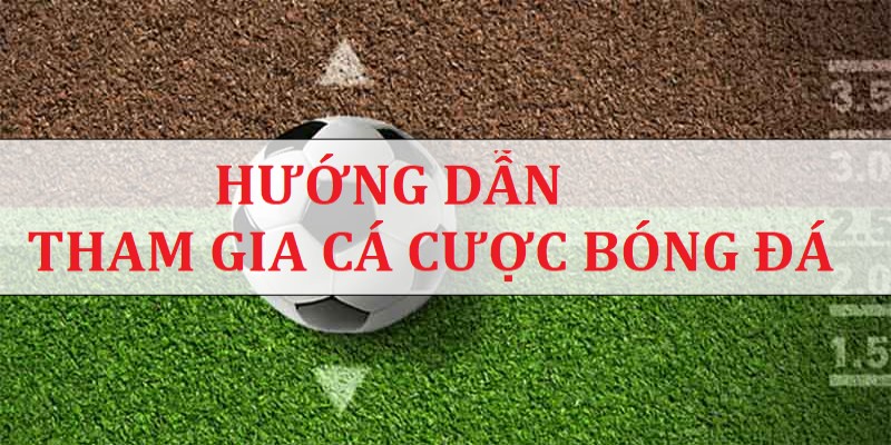 Hướng dẫn cách chơi cá cược bóng đá đơn giản và dễ hiểu