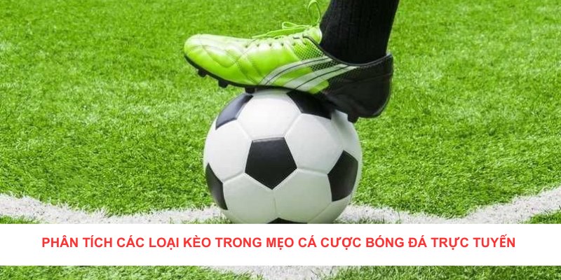 Người chơi nắm rõ các loại kèo để đưa ra quyết định chính xác